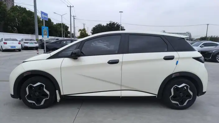 BYD Dolphin 2021 Model Fashion Edition