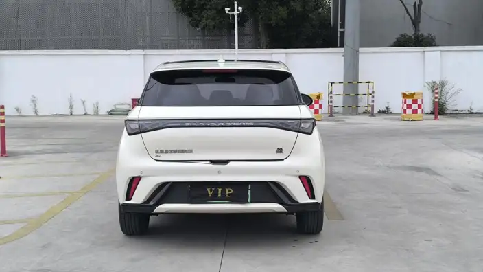 BYD Dolphin 2021 Model Fashion Edition – фото 5