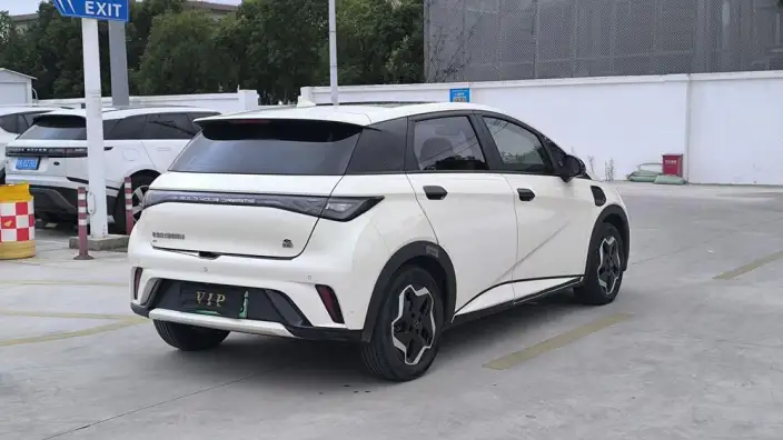BYD Dolphin 2021 Model Fashion Edition – фото 6