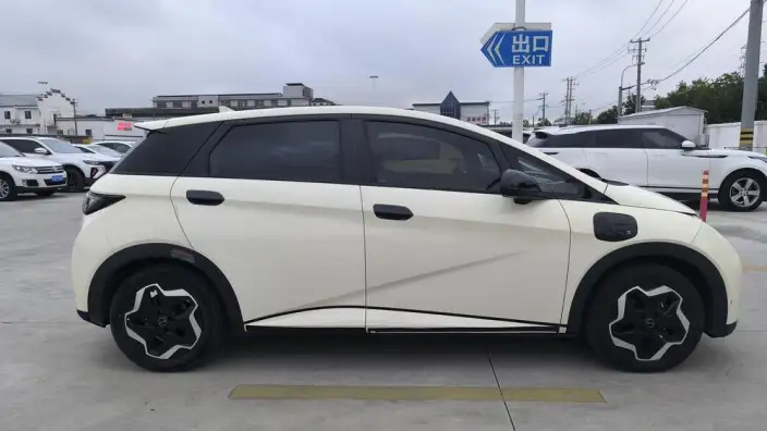 BYD Dolphin 2021 Model Fashion Edition – фото 7