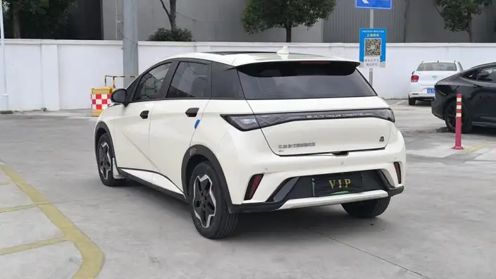BYD Dolphin 2021 Model Fashion Edition – фото 9