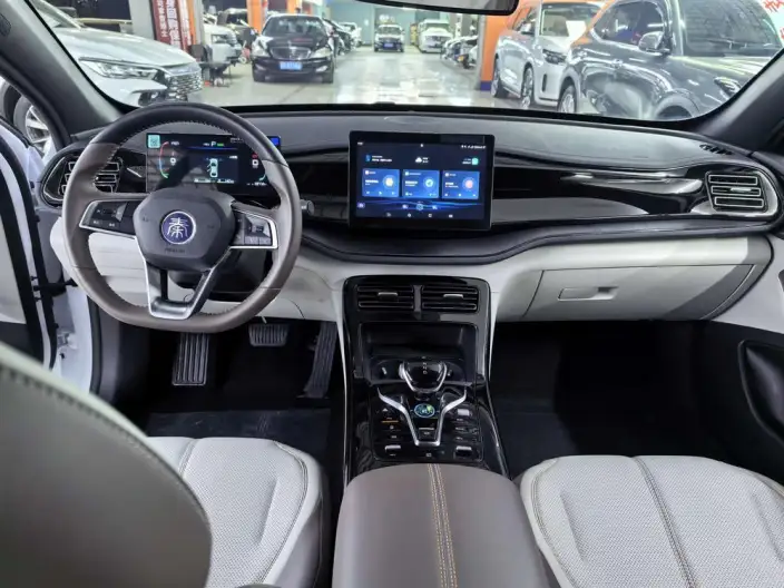 BYD Qin PLUS DM 2024 Model Honor Edition DM-i 55KM Leading Model – фото 7