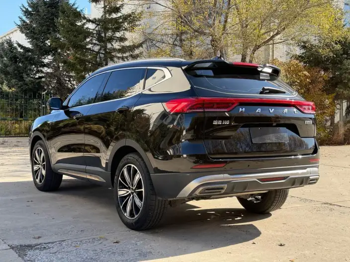 Haval H6 2023 Model Guo Trendy Edition 1.5T Automatic Champion Edition – фото 5