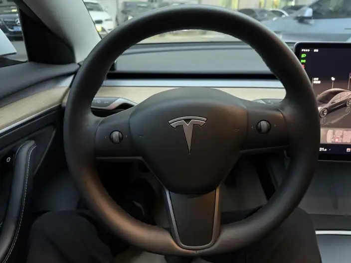 Model 3 2022 Model Rear-wheel drive version – фото 7