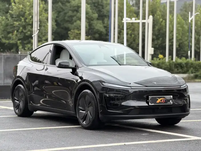 Model Y 2025 Model Long Battery Life Pro Rear-wheel drive version