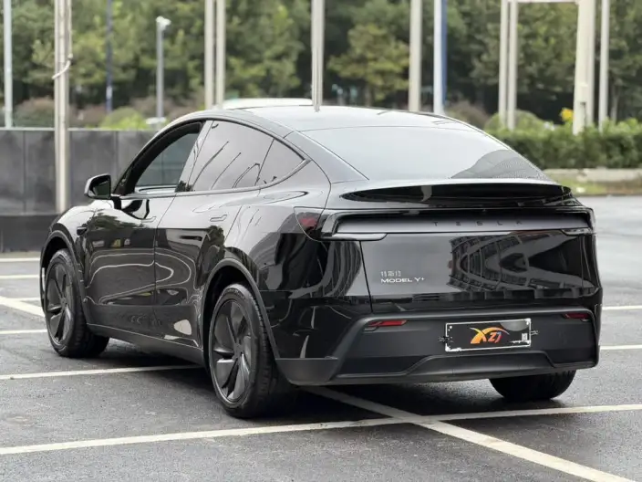 Model Y 2025 Model Long Battery Life Pro Rear-wheel drive version