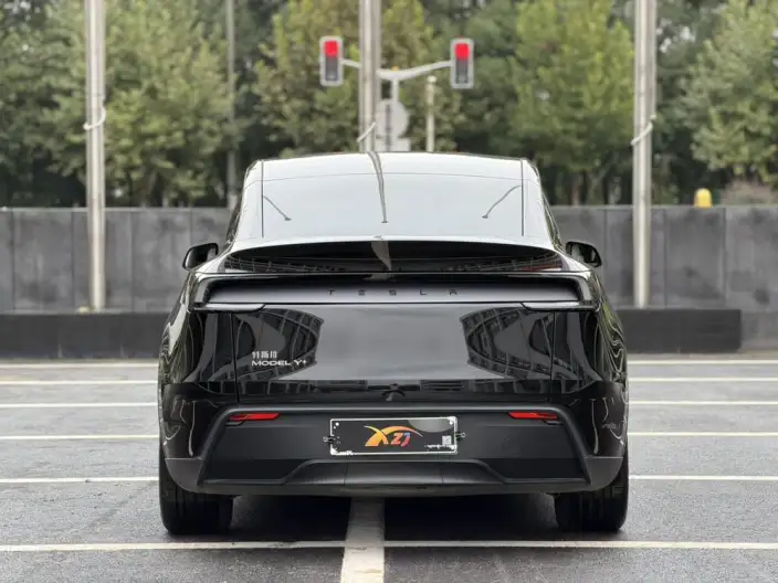 Model Y 2025 Model Long Battery Life Pro Rear-wheel drive version – фото 5
