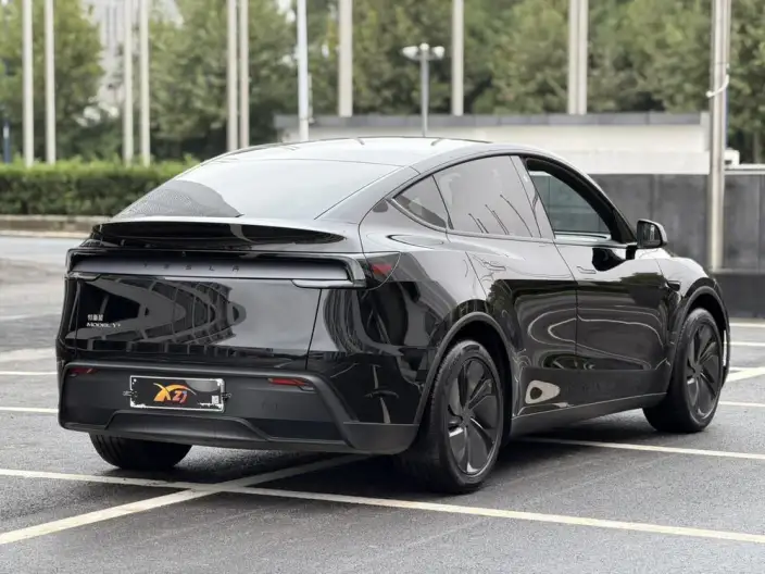 Model Y 2025 Model Long Battery Life Pro Rear-wheel drive version – фото 6