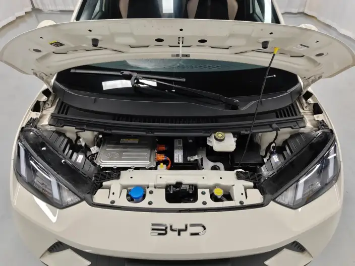 BYD Seagull 2025 Model 305KM Vitality Edition – фото 10