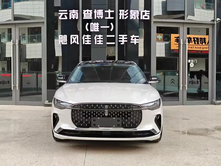 Lincoln Z 2024 Model 2.0T Zun Shang Edition