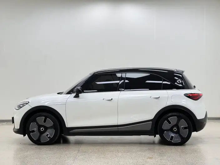 smart #1 2022 Model Premium – фото 4