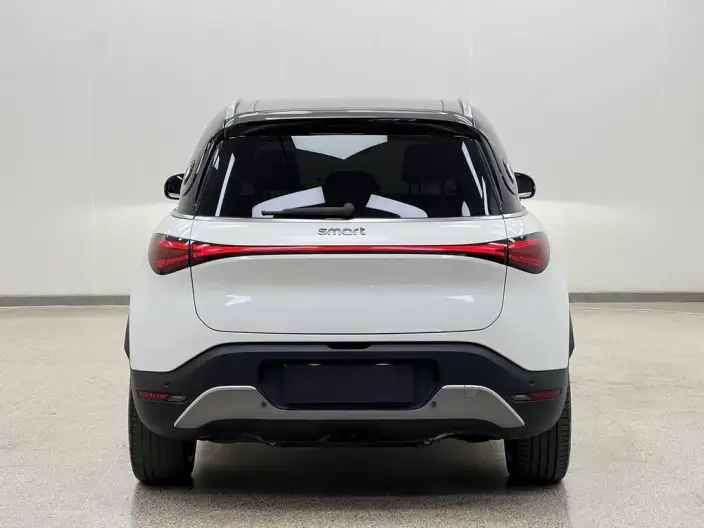 smart #1 2022 Model Premium – фото 6