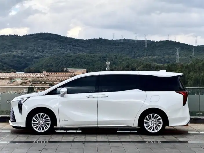 Century 2023 Model 2.0T VI seat Yunshi Edition