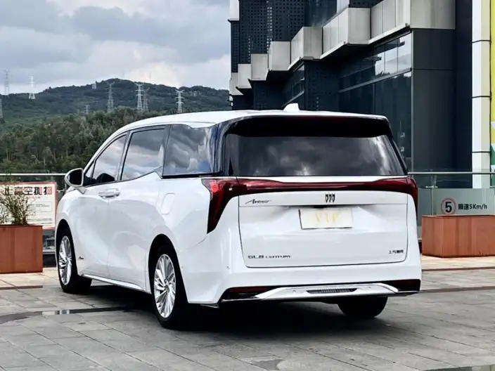 Century 2023 Model 2.0T VI seat Yunshi Edition – фото 5