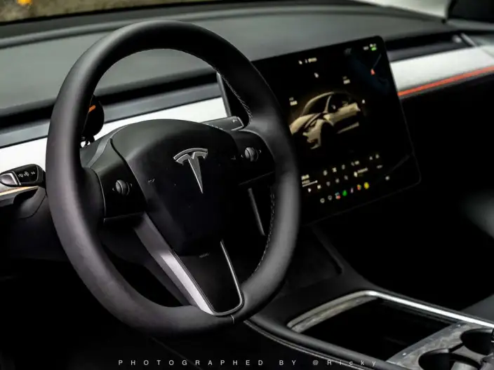 Model Y 2024 Model Performance High performance All-wheel drive version – фото 10