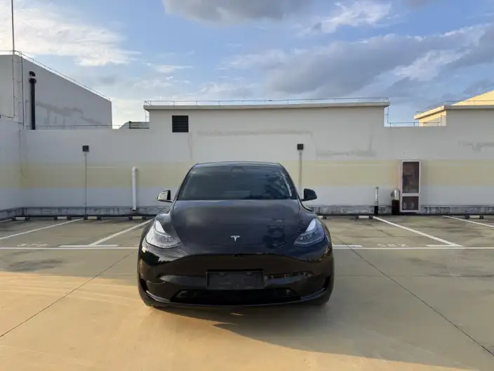 Model Y 2024 Model Rear-wheel drive version – фото 2