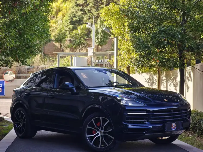 Cayenne Coupé 2022 Model Cayenne Coupé 3.0T Platinum edition
