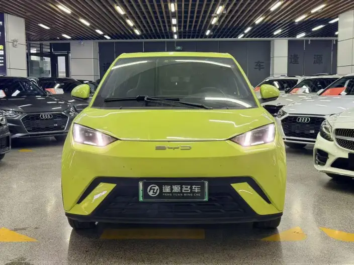 BYD Seagull 2023 Model Feixiang Edition – фото 2