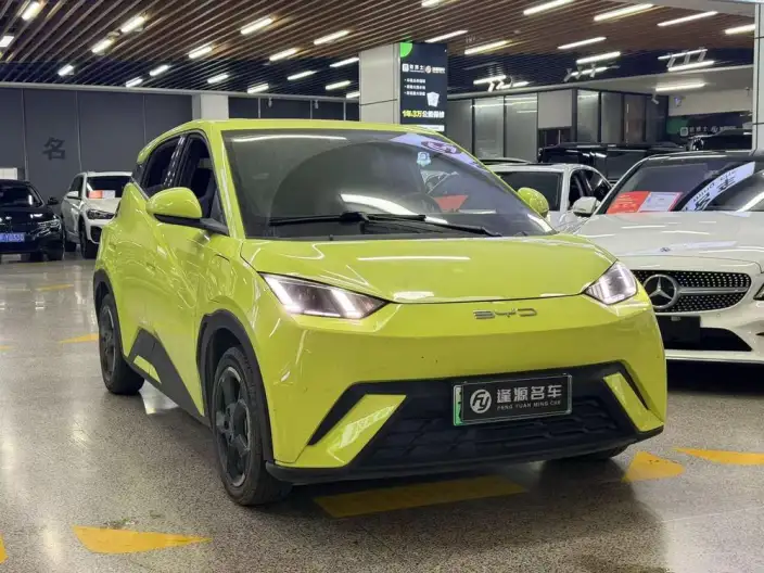 BYD Seagull 2023 Model Feixiang Edition – фото 3