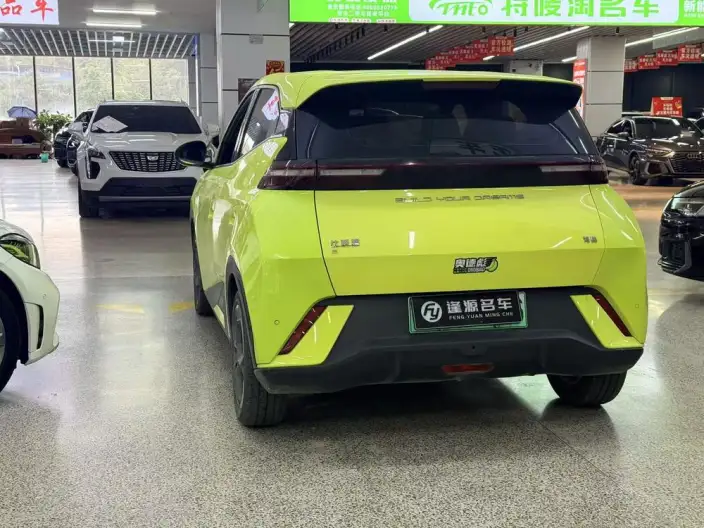 BYD Seagull 2023 Model Feixiang Edition – фото 4