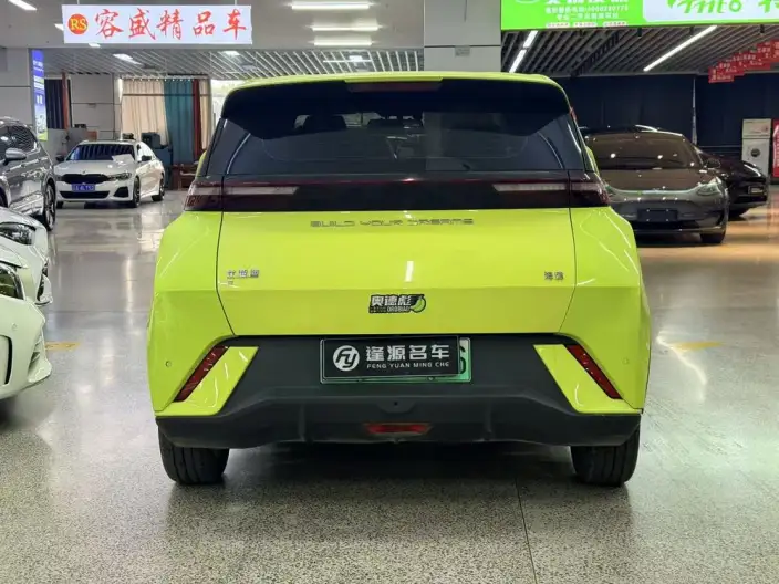 BYD Seagull 2023 Model Feixiang Edition – фото 5