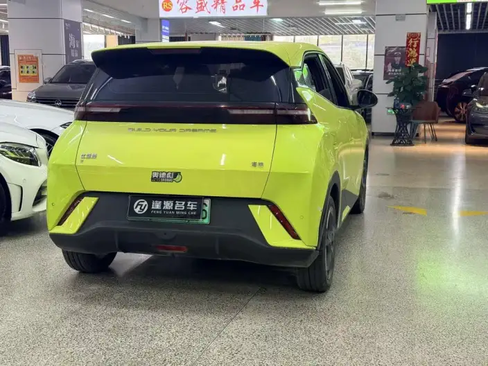 BYD Seagull 2023 Model Feixiang Edition – фото 6