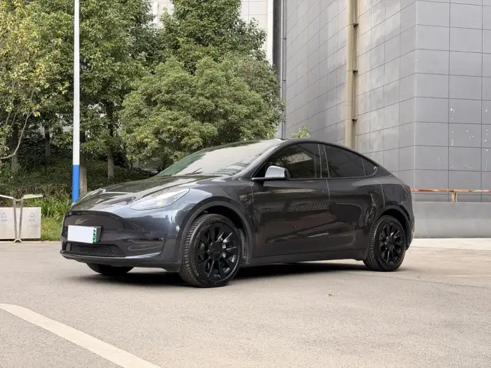 Model Y 2023 Model Long Battery Life Pro All-wheel drive version – фото 1