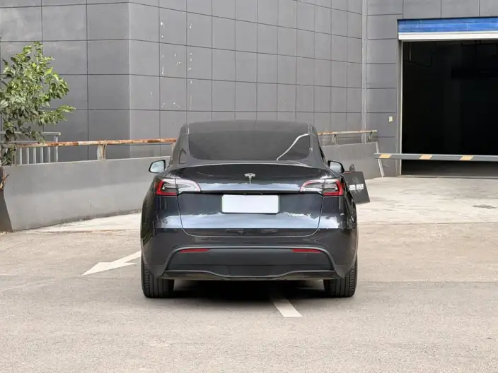Model Y 2023 Model Long Battery Life Pro All-wheel drive version – фото 6