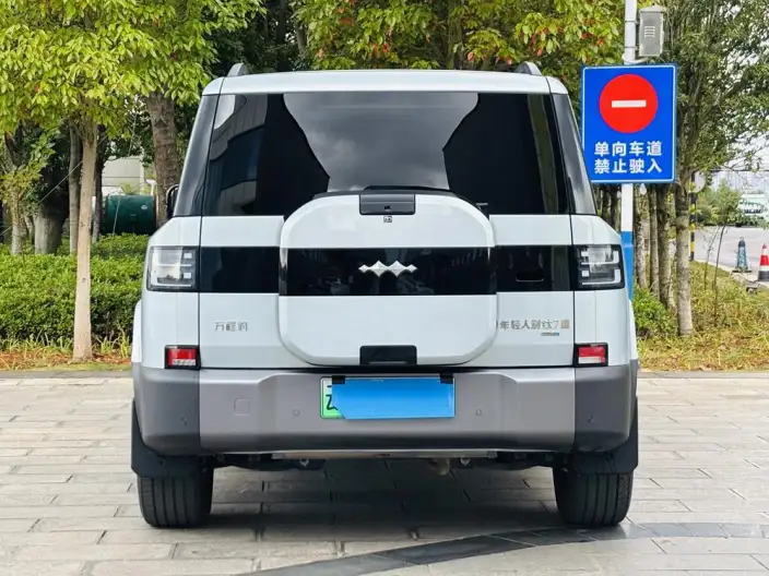 Titan 7 PHEV 2025 Model 135KM 2WD Pro Edition – фото 5