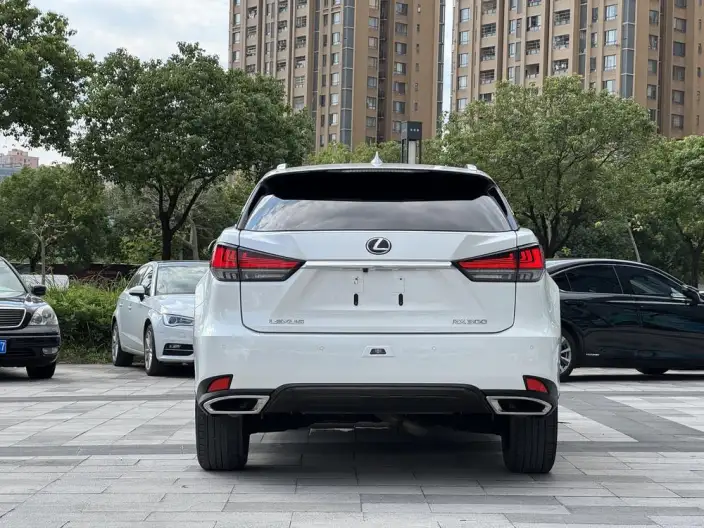 Lexus RX 2021 Model 300 4WD Special Edition – фото 5
