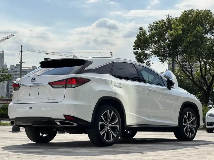 Lexus RX 2021 Model 300 4WD Special Edition – фото 6