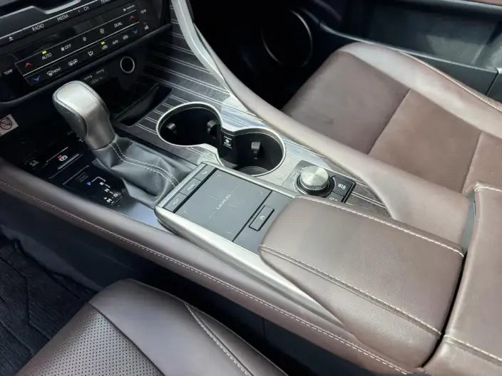 Lexus RX 2021 Model 300 4WD Special Edition – фото 9
