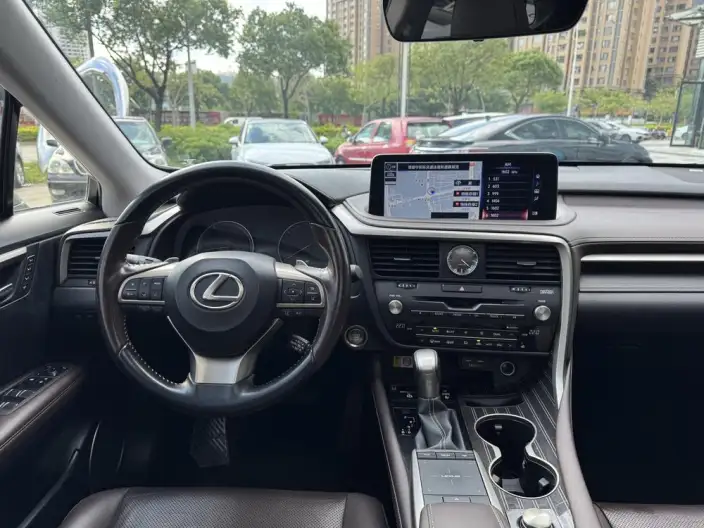 Lexus RX 2021 Model 300 4WD Special Edition – фото 10