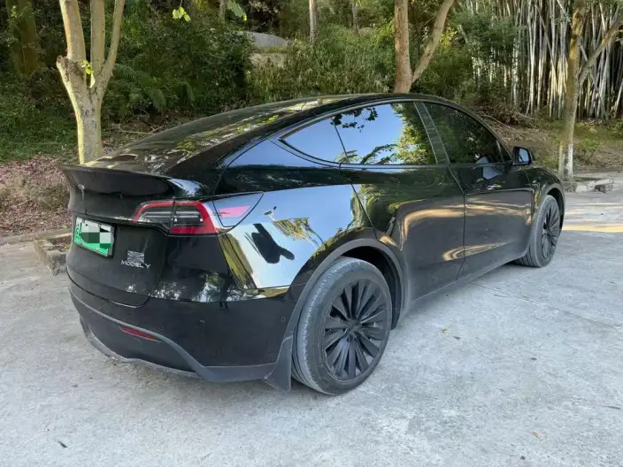 Model Y 2022 Model Facelift Long Battery Life Pro All-wheel drive version – фото 4