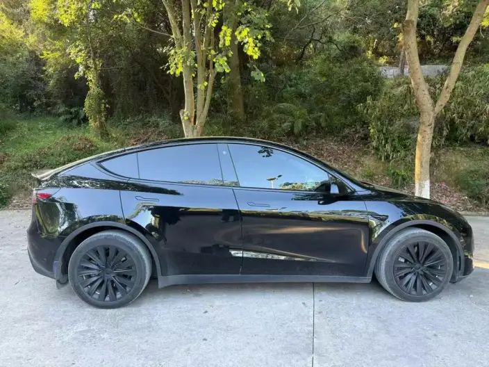 Model Y 2022 Model Facelift Long Battery Life Pro All-wheel drive version – фото 5