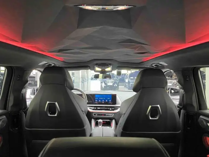 BMW XM 2023 Model 4.4T Standard Model – фото 11