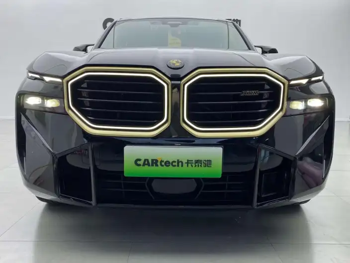 BMW XM 2023 Model 4.4T Standard Model – фото 17