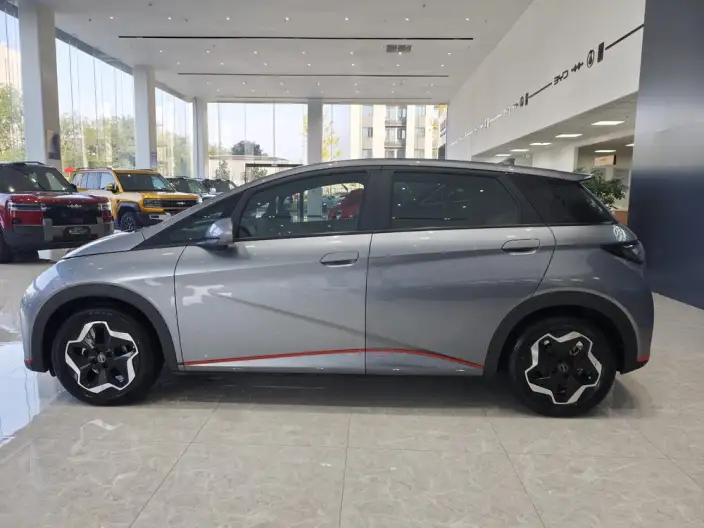 BYD Dolphin 2021 Model Fashion Edition – фото 4