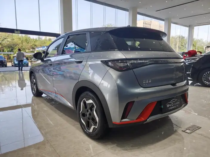 BYD Dolphin 2021 Model Fashion Edition – фото 5