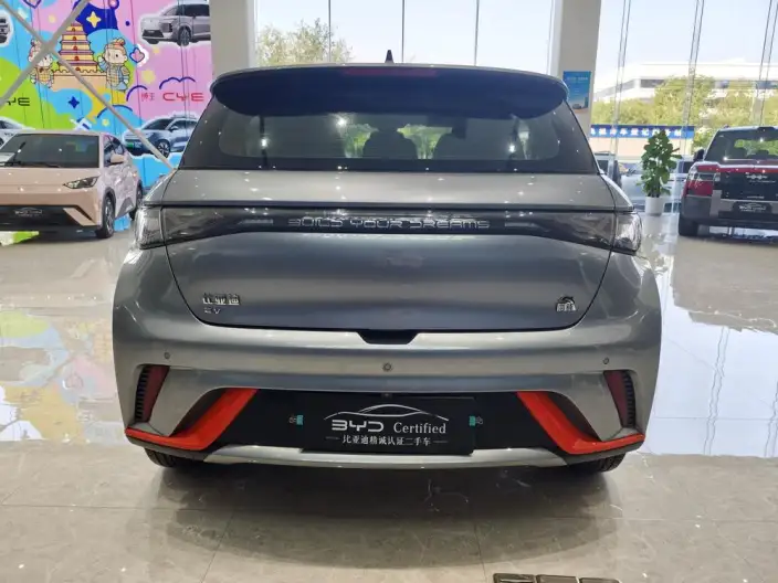 BYD Dolphin 2021 Model Fashion Edition – фото 6