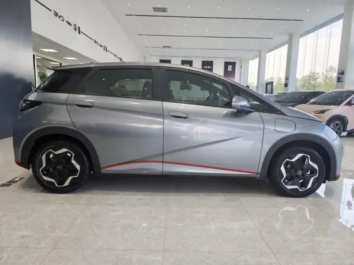 BYD Dolphin 2021 Model Fashion Edition – фото 8