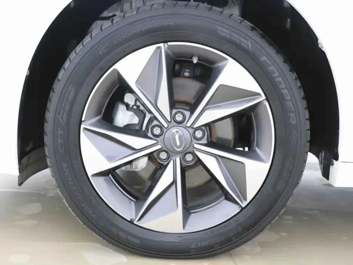 GAC Trumpchi M6 2021 Model Pro 270T Automatic Exclusive Edition – фото 8