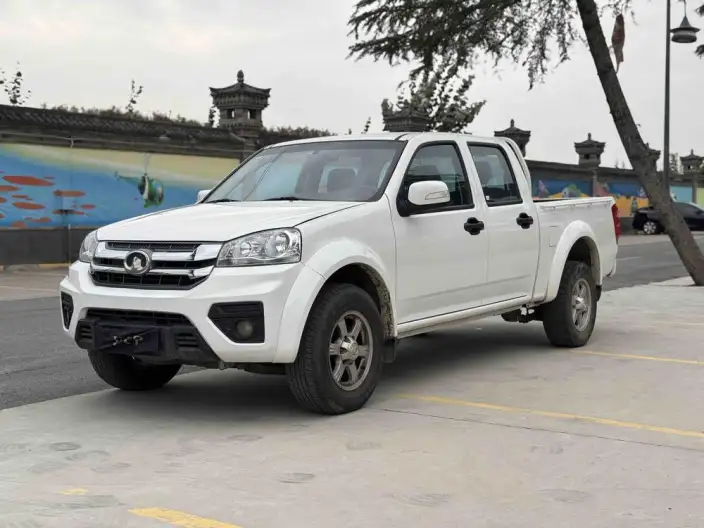 Wingle 5 2023 Model 2.4L Petrol 2WD Enterprising Model Big double 4K22D4M – фото 1