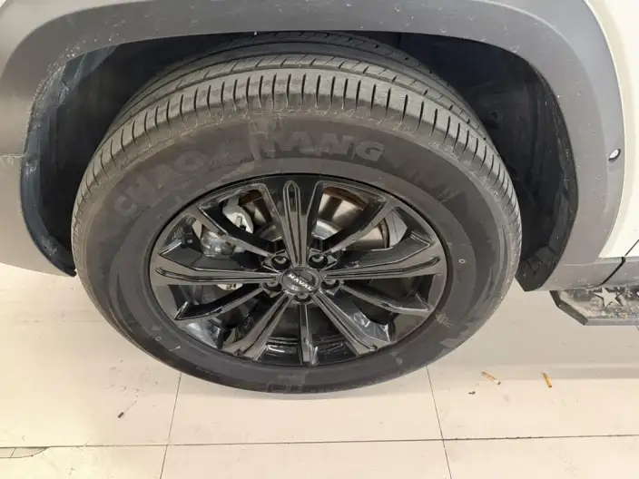 Haval Raptor Fuel Edition 2025 Model 2.0T 4WD Ultra – фото 9