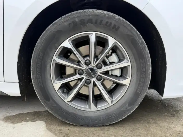 BYD Destroyer 05 2024 Model Honor Edition DM-i 55KM Luxury Model – фото 7