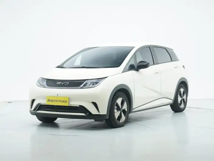 BYD Dolphin 2023 Model Free Edition