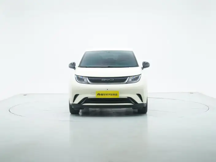 BYD Dolphin 2023 Model Free Edition