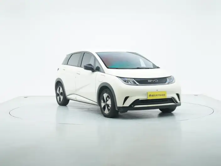 BYD Dolphin 2023 Model Free Edition
