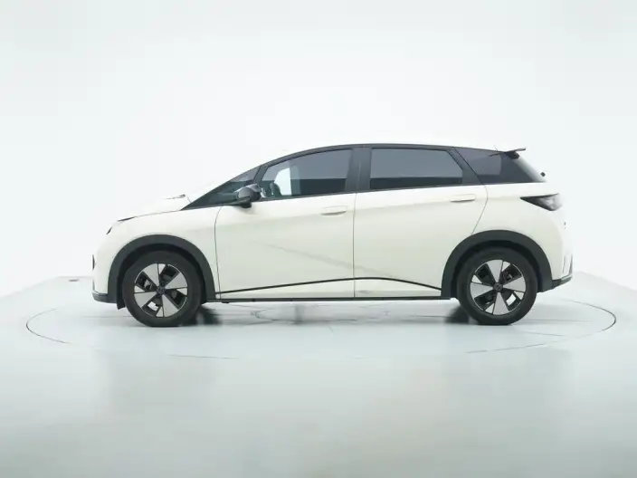 BYD Dolphin 2023 Model Free Edition