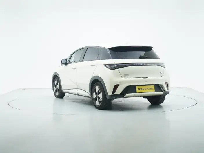 BYD Dolphin 2023 Model Free Edition – фото 5